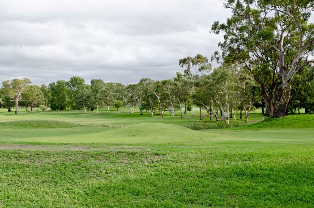 Baybrook Motor Inn Muswellbrook Luaran gambar